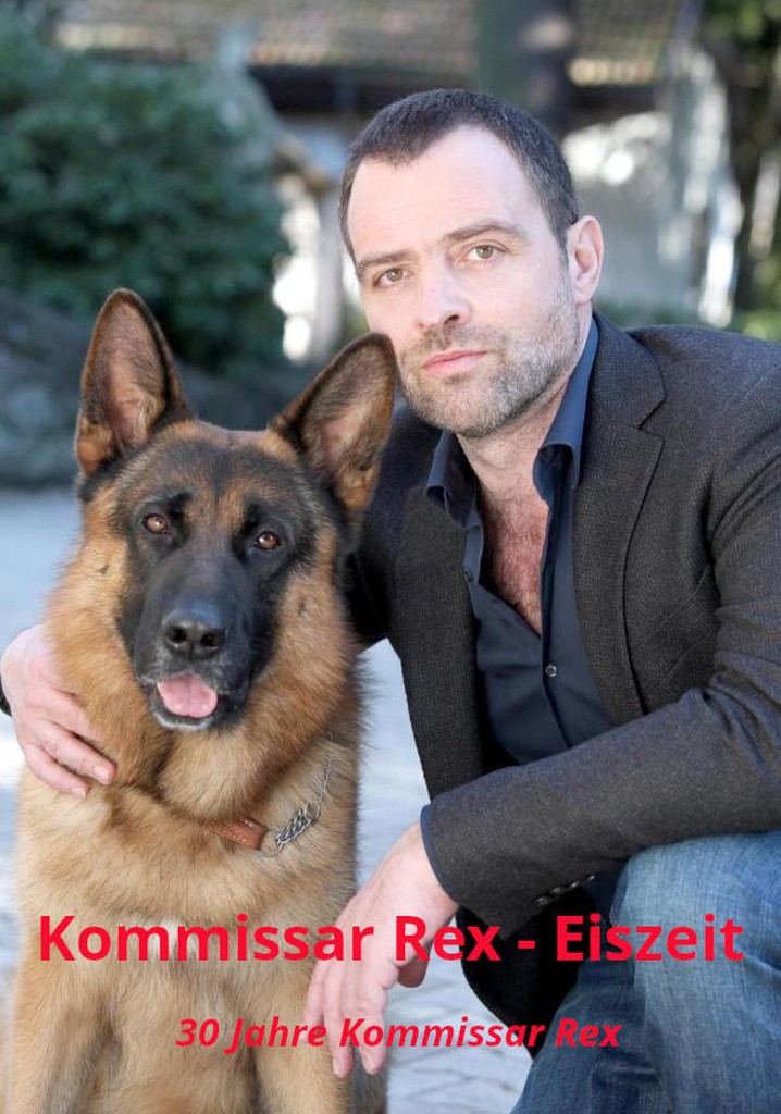 Kommissar Rex - Eiszeit