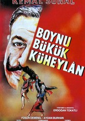 Boynu Bükük Küheylan