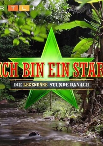 Ich bin ein Star: Die Stunde danach