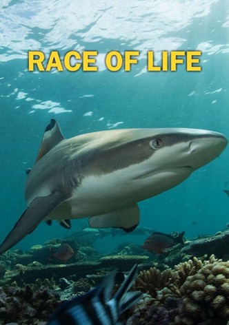 Race of life