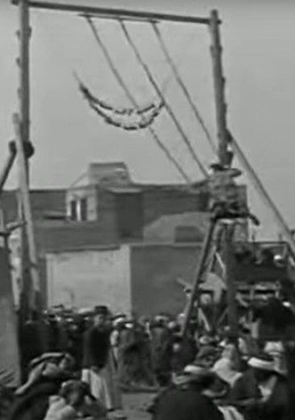 Palestine - Programme documentaire