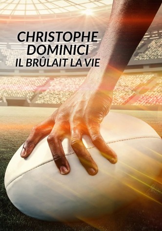 Christophe Dominici : il brûlait la vie