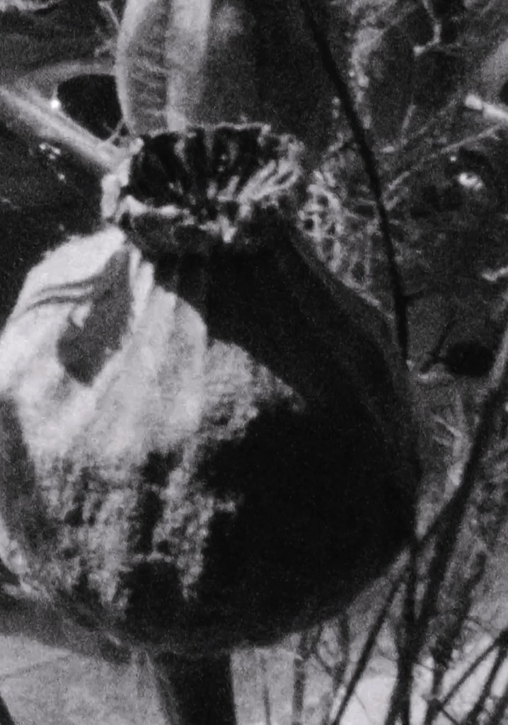 Ein windiger Frühlingstag