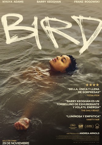 Bird. Emprender El Vuelo