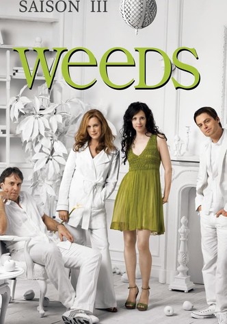 Weeds - Saison 3