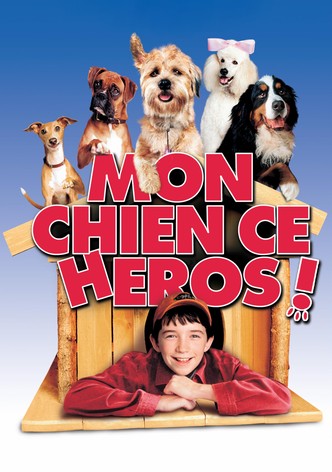 Mon chien, ce héros !