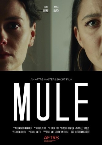 Mule
