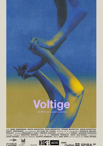 Voltige