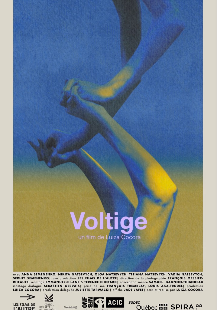 Voltige