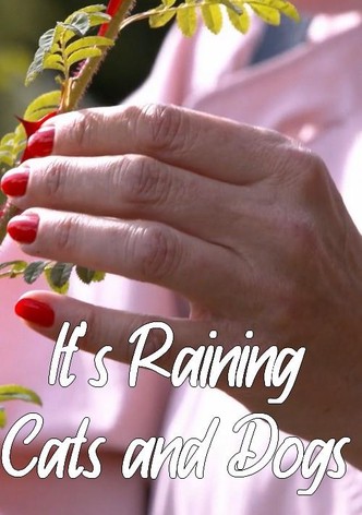 It's Raining Cats and Dogs