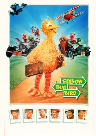 Follow That Bird