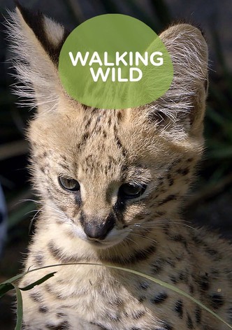 Walking Wild at the San Diego Zoo