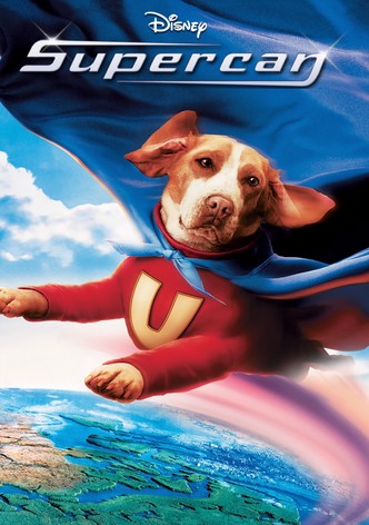 Superdog