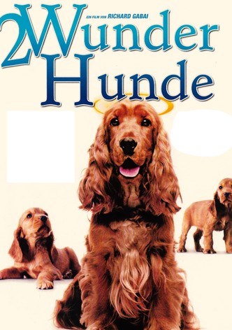 2 Wunder Hunde