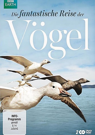 Die fantastische Reise der Vögel