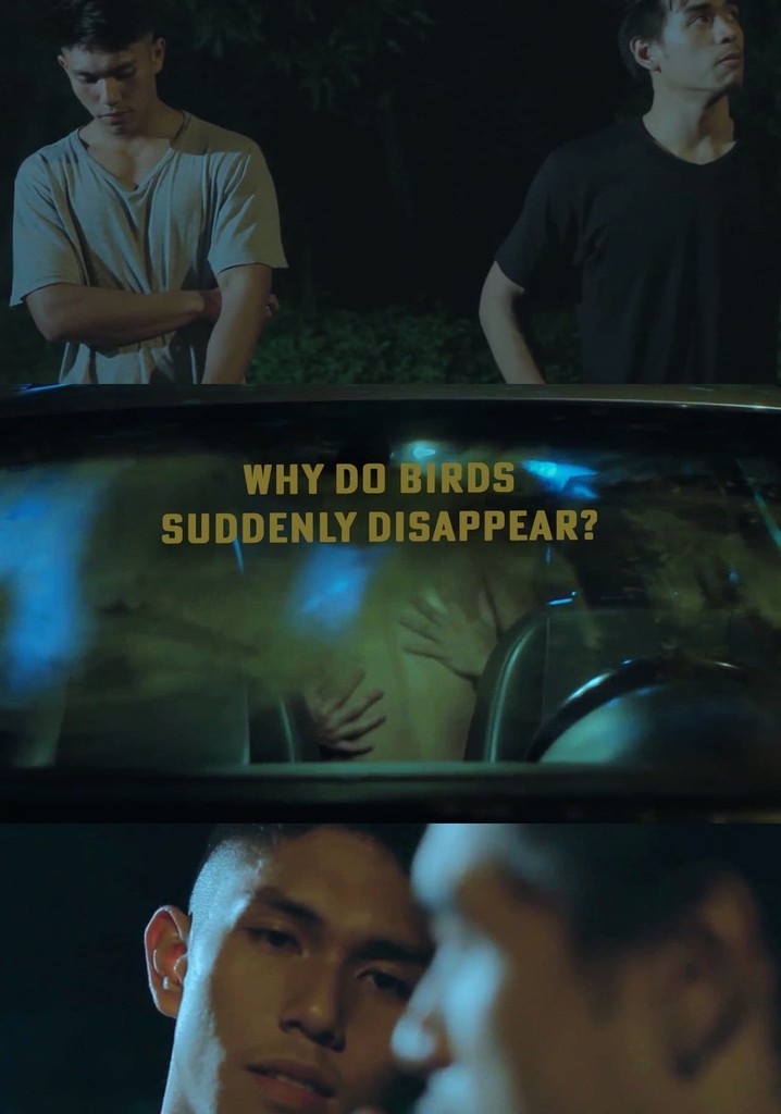 Why Do Birds Suddenly Disappear?