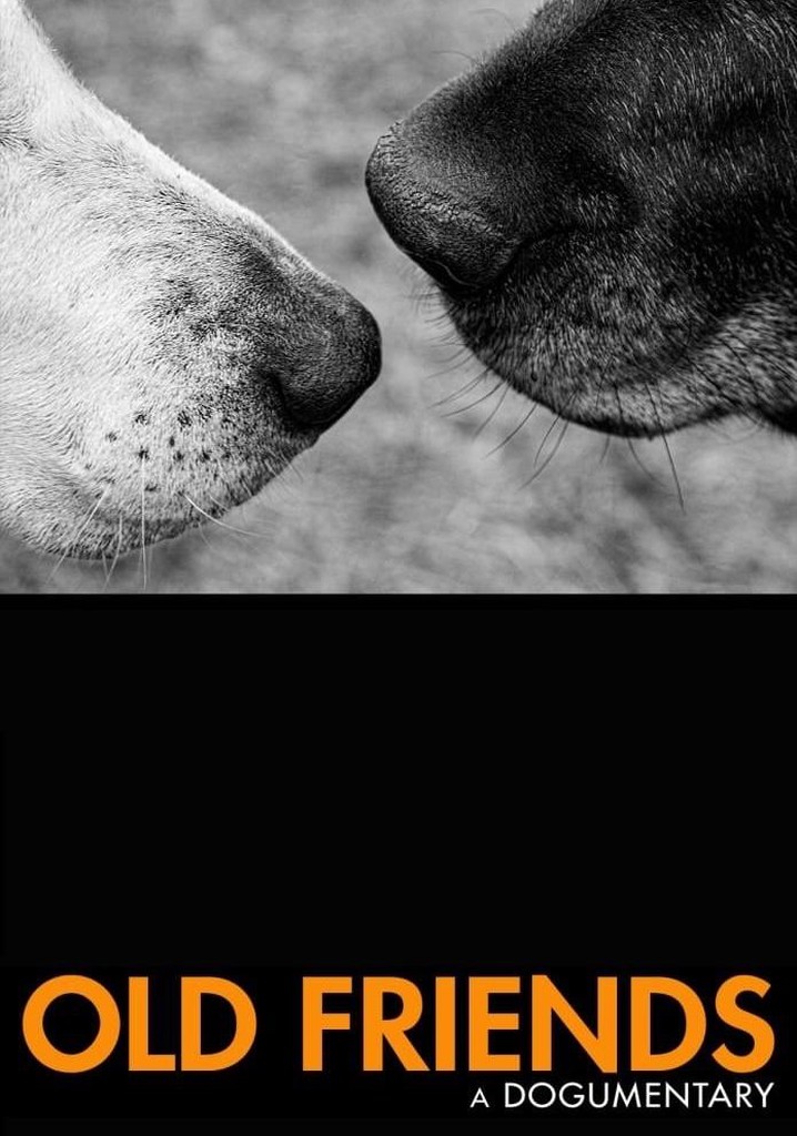 Old Friends: A Dogumentary