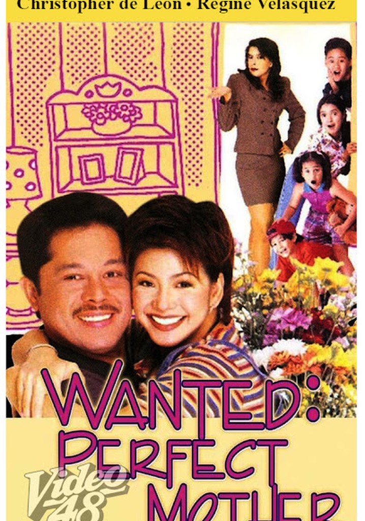 Wanted: Perfect Mother