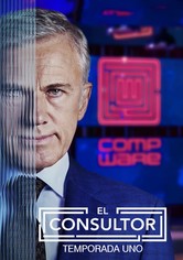El consultor