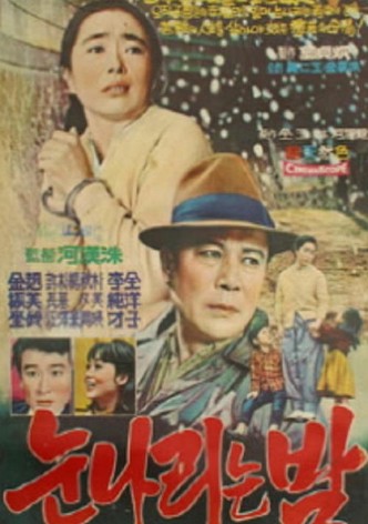 눈 나리는 밤