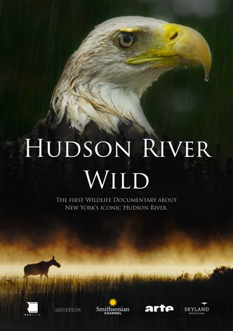 Hudson River Wild
