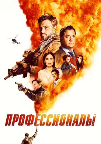Профессионалы