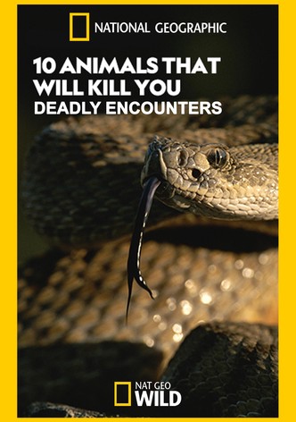 10 Animals That Will Kill You: Deadly Encounters