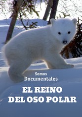 Secretos de los osos polares