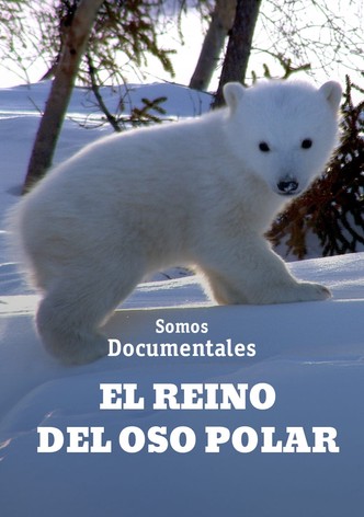 Secretos de los osos polares