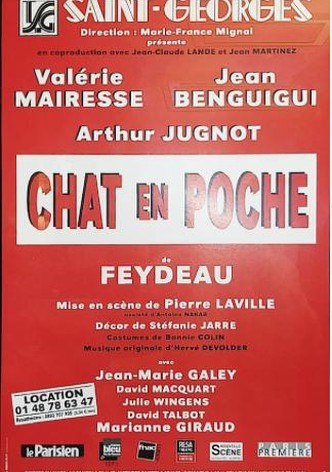 Chat en poche