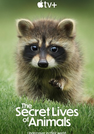 The Secret Lives of Animals