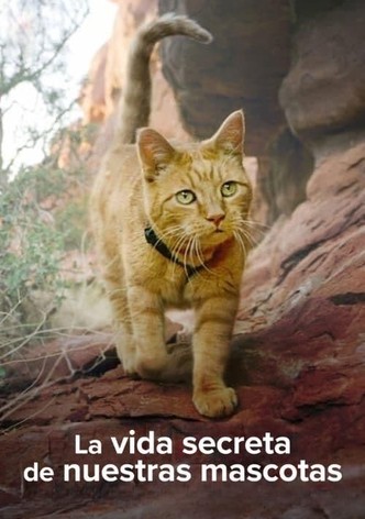 La vida secreta de nuestras mascotas