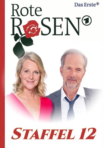 Staffel 12