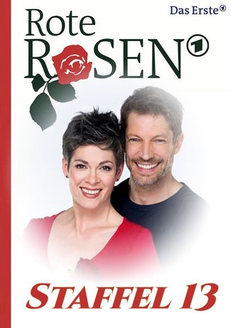 Staffel 13