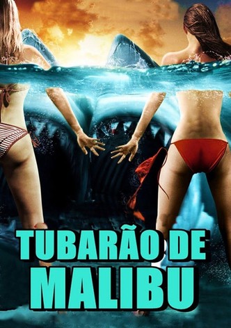 Tubarão de Malibu