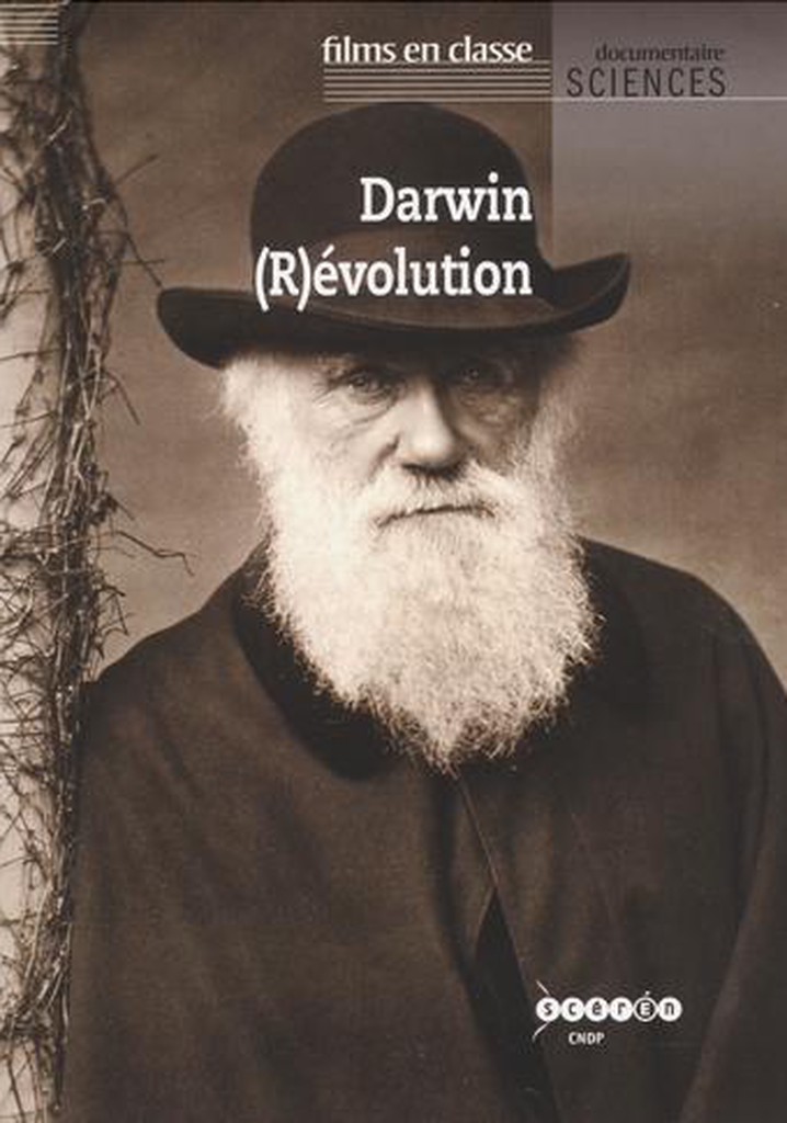Darwin (r)évolution