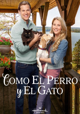 Como el perro y el gato