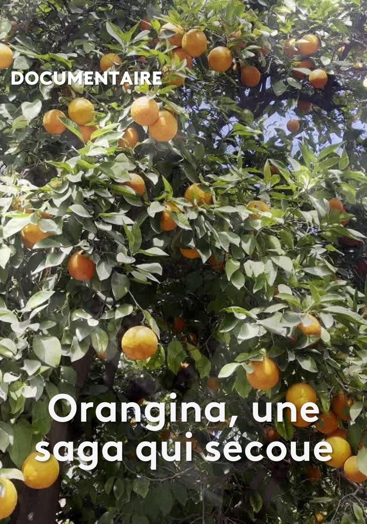 Orangina, une saga qui secoue