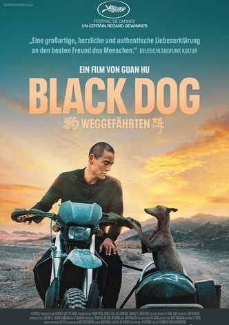 Black Dog - Weggefährten