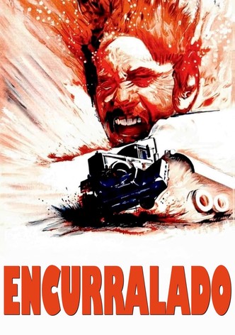 Um Assassino Pelas Costas