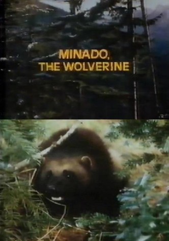 Minado, the Wolverine