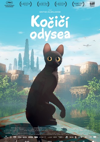 Kočičí odysea