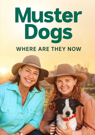 Muster Dogs: Where Are They Now