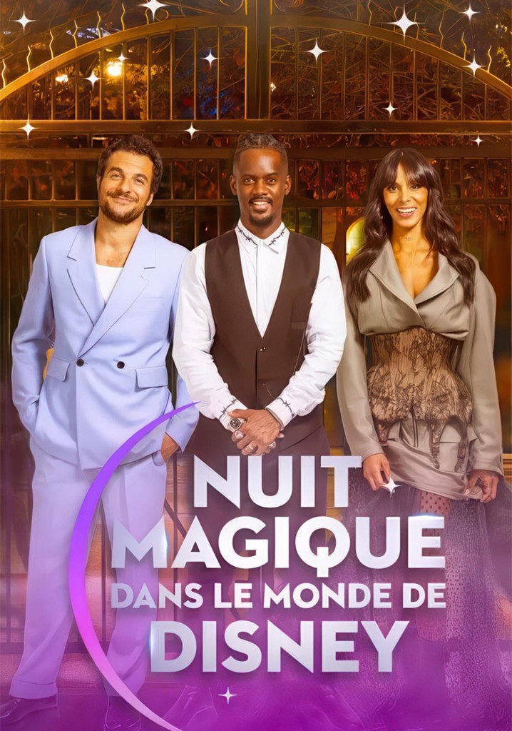Magical Night in Disney World