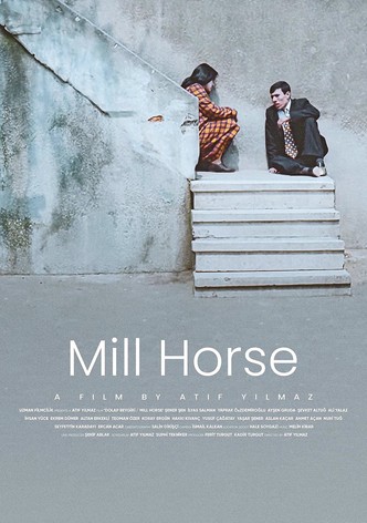 Mill Horse
