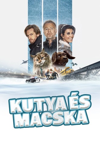 Kutya és macska