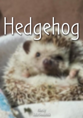 Hedgehog