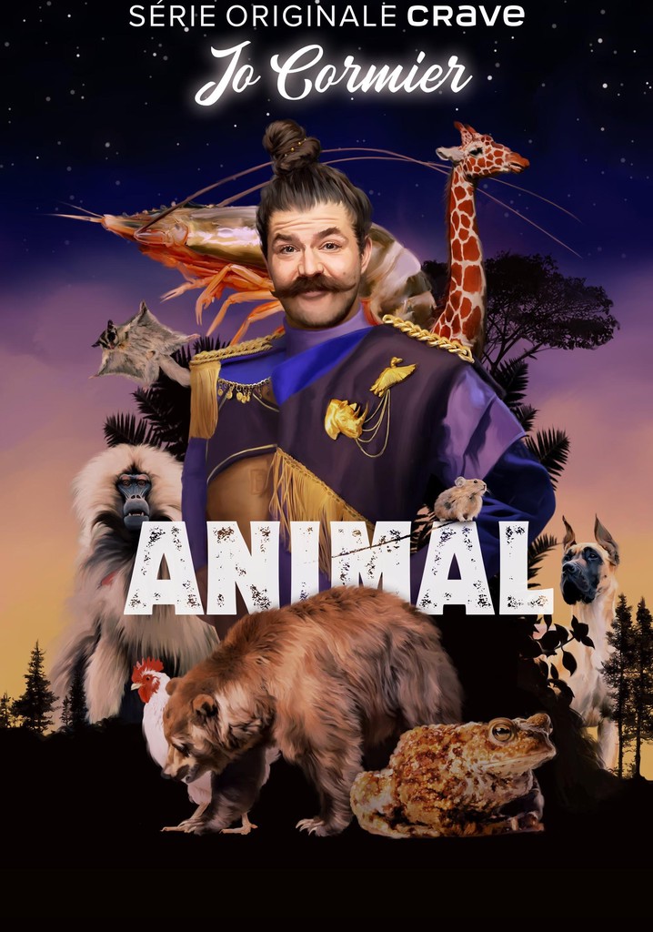 Jo Cormier : Animal