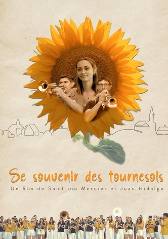 Se souvenir des tournesols
