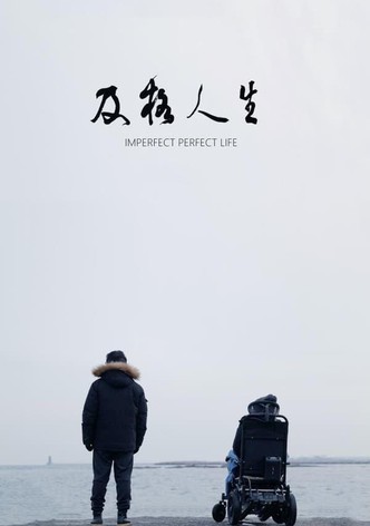 Imperfect Perfect Life